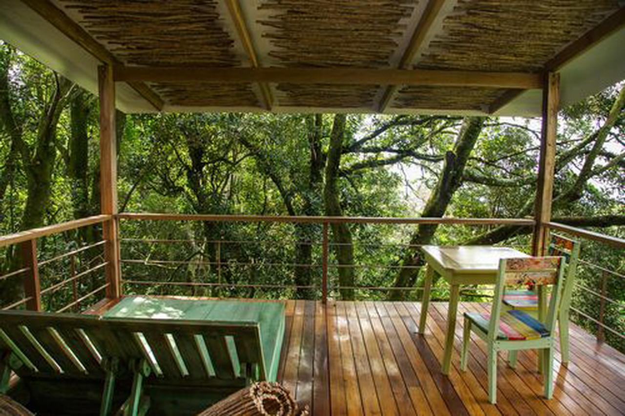 Chayote Lodge Zarcero Exteriör bild